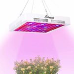 LED Grow Light Full Spectrum 300w,Elaine Indoor Plant Grow Light with UV&IR for Greenhouse Hydroponic Plant Succulents Seedlings Veg and Flower