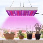 LED Grow Light for Indoor Plants, ABS Super Robust & Light Weight Growing Lights, IR & UV Full Spectrum Grow Lamp for Micro Grctrum Grow Lamp for Clones, Succulents, Micro Greens, Aquarium Plants（45W）