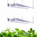 Barrina LED Grow Light 4FT,168W(4 x 42W, 1000W Equivalent), Full Spectrum, V-Shape with Reflector Combo, Grow Lights for Indoor Plants, Greenhouse, 4-Pack